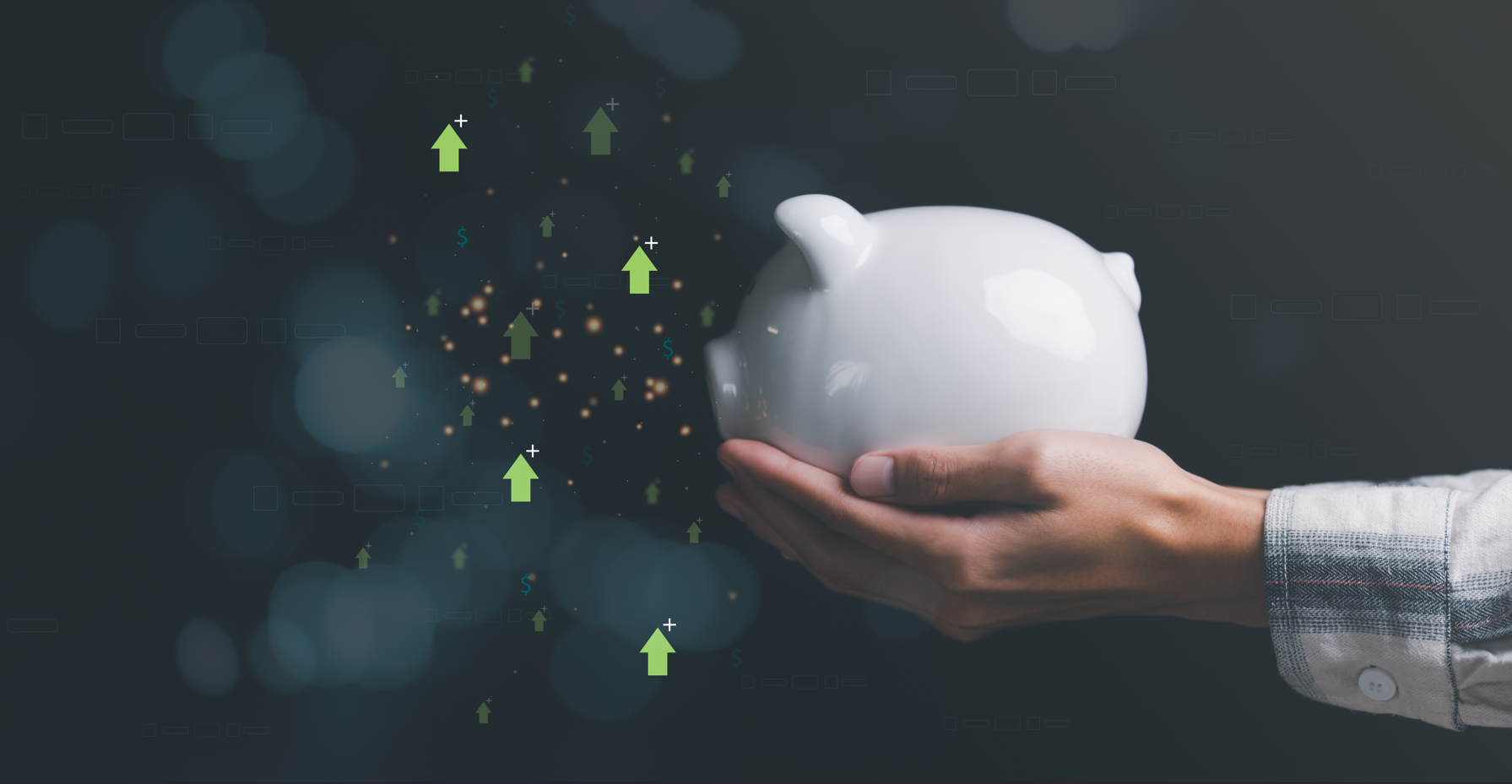 Investment & Joint Venture